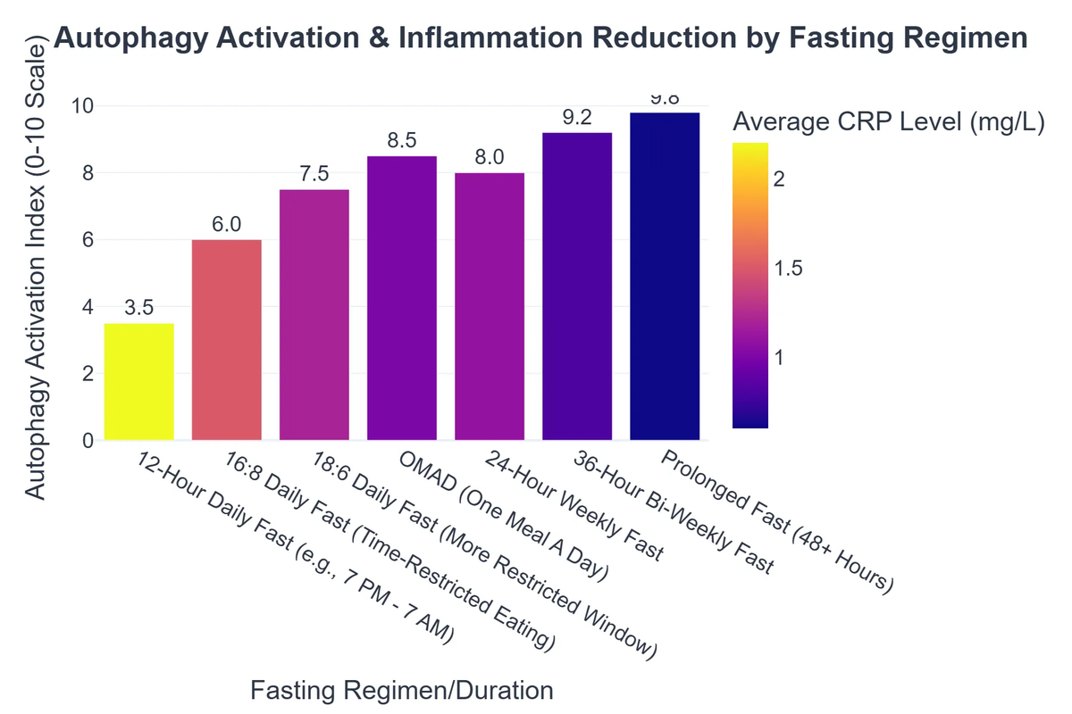 Autophagy Activation & Inflammation Reduction by Fasting Regimen