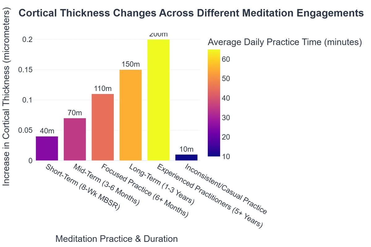 Cortical Thickness Changes Across Different Meditation Engagements