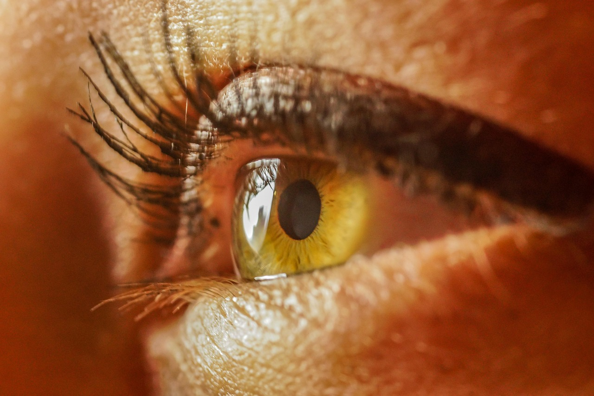 A sophisticated, translucent human eye, depicted with intricate internal mechanisms and glowing neural connections extending to a subtle brain outline, being meticulously fine-tuned by a knowledgeable hand, symbolizing the dynamic and interconnected path to natural vision optimization.