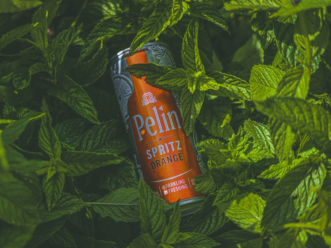 A pristine, stylized image depicting a vibrant, potent adaptogenic plant (like Ashwagandha or Rhodiola) seamlessly transforming into a meticulously crafted, glowing supplement capsule, positioned centrally above an abstract, illuminated network of human endocrine pathways, symbolizing advanced, targeted hormonal support.