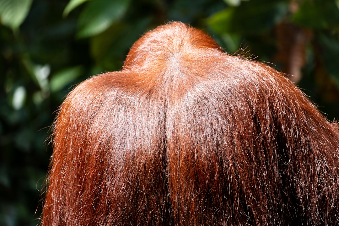 A close-up, high-magnification view of a human scalp, where a single droplet of a clear topical serum has just landed, and beneath the surface, hair follicles are depicted with a subtle glow and a visual representation of increased blood flow, symbolizing their activation and nourishment.