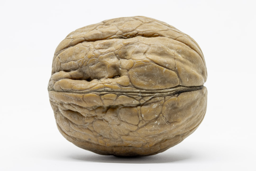 A vibrant, glowing human brain depicted with intricate neural networks actively growing and strengthening, some connections visibly thickening and branching like developing muscles, illustrating the dynamic process of neuroplasticity.