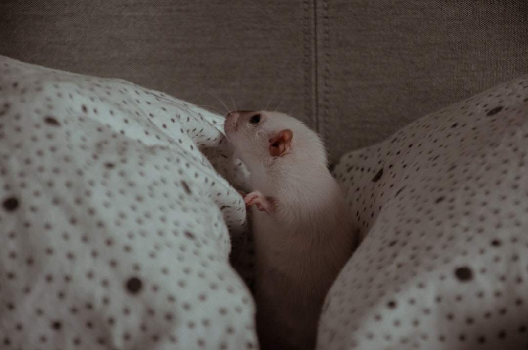 A serene individual peacefully sleeping in a tranquil, softly lit setting, with subtle, glowing, root-like patterns emerging from their abdomen and intertwining with ethereal natural elements, symbolizing the deep, restorative connection between quality sleep and holistic gut health.