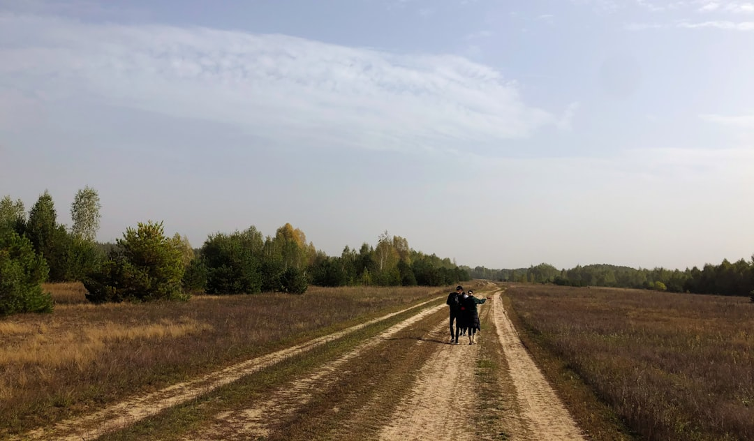 A tranquil bedroom scene where a person lies in bed, their head subtly depicted with a faint, swirling vortex of scattered thoughts on one side, gradually dissolving into calm, tranquil wisps of deep blue and purple on the other, symbolizing the shift from a racing mind to peaceful sleep.