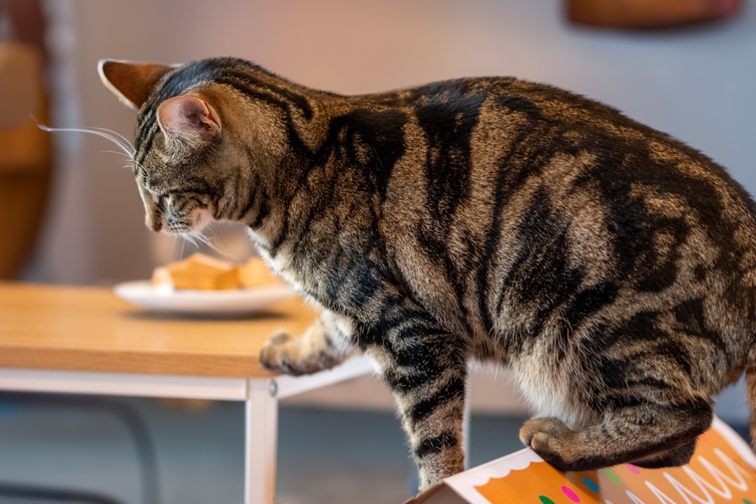 A detailed macro shot of a human eye, where the iris's intricate patterns subtly dissipate into wisps of shadow and fine, almost imperceptible stress lines, embodying the hidden toll of sleep and stress on eye health.