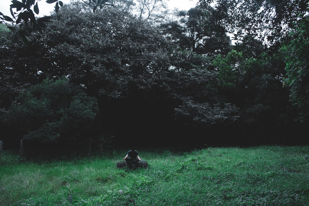 A luminous human brain, subtly transforming with delicate, interconnected glowing neural pathways and gentle, rippling brainwave patterns, set against a serene, softly lit background.