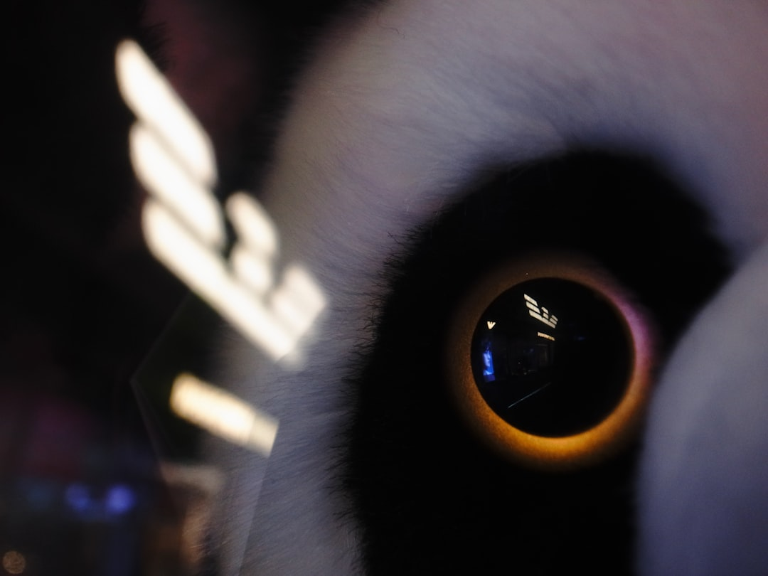 A detailed close-up of a human eye, subtly illuminated by a vibrant, refracting rainbow spectrum across its pupil and iris, symbolizing the intricate relationship between light and vision.