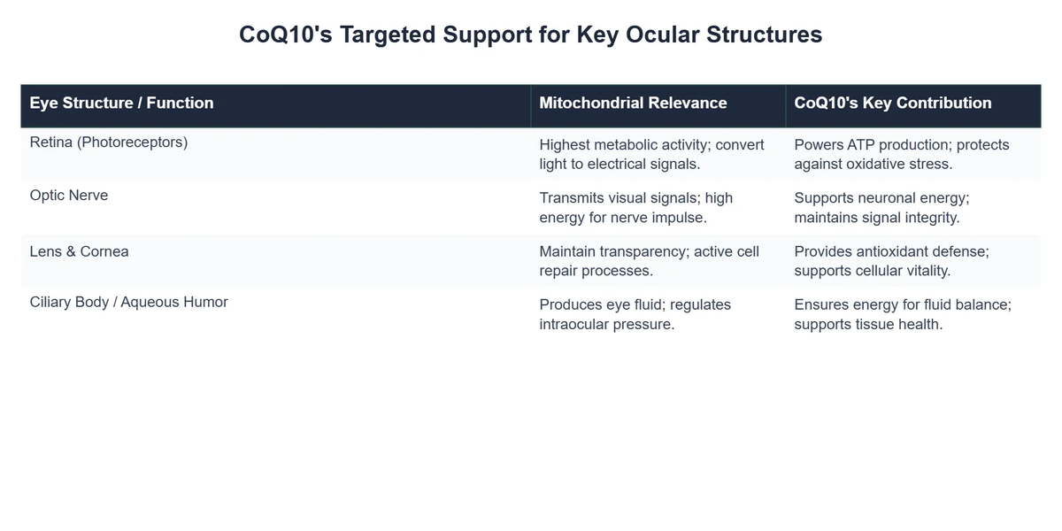 CoQ10's Targeted Support for Key Ocular Structures