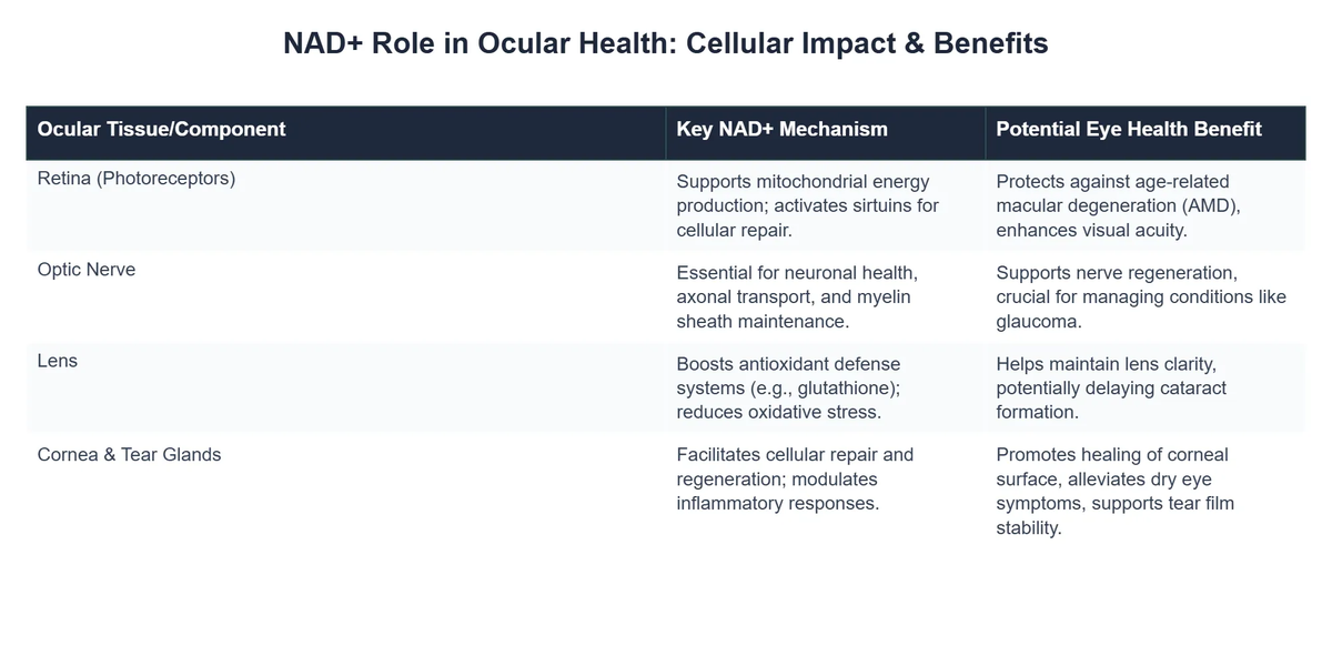 NAD+ Role in Ocular Health: Cellular Impact & Benefits