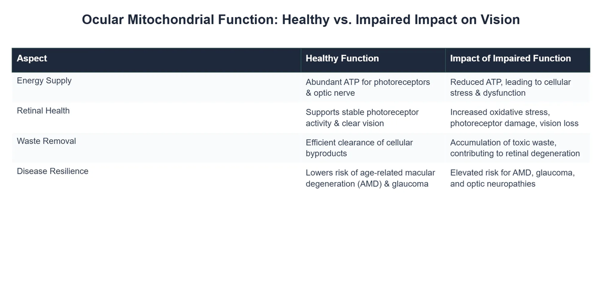 Ocular Mitochondrial Function: Healthy vs. Impaired Impact on Vision