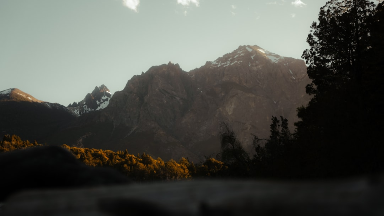 Rugged, snow-capped mountains stand sharply against a light sky, overlooking dense forests illuminated by warm golden hour light, conveying a sense of vast clarity and pristine natural beauty.