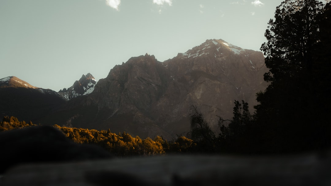 Rugged, snow-capped mountains stand sharply against a light sky, overlooking dense forests illuminated by warm golden hour light, conveying a sense of vast clarity and pristine natural beauty.