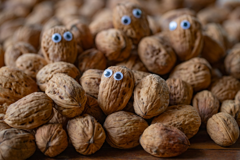 Close-up of a large group of walnuts, several featuring prominent googly eyes, creating a whimsical depiction of healthy vision for macular support.