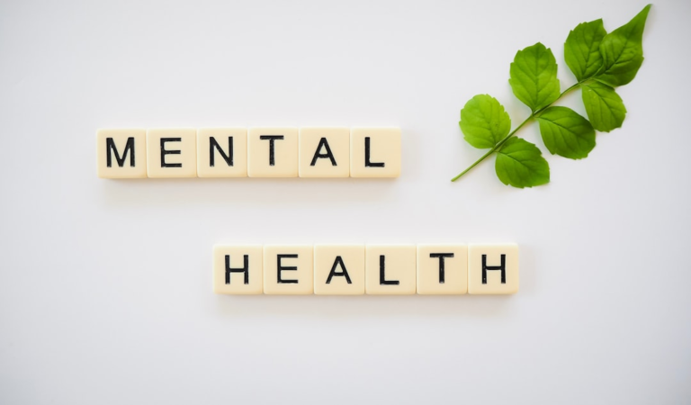 Scrabble-like tiles spell MENTAL HEALTH next to a vibrant green leafy sprig on a clean white background, symbolizing natural vitality and holistic well-being.