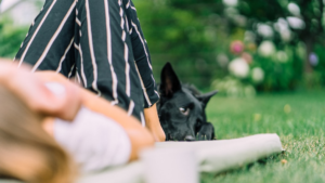 A black dog rests calmly on a green lawn next to a person wearing striped pants, conveying a serene outdoor setting ideal for relaxation and stress management.