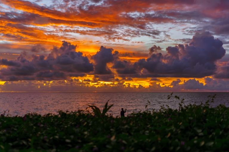 Dramatic orange and purple clouds illuminate the sky over a vast ocean at sunset, with a lone silhouetted figure standing peacefully amidst dark foreground foliage, symbolizing a moment of mindful reflection.