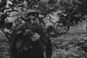 Older man with a cap and mustache peers contemplatively through dense, dark foliage in a black and white garden, conveying a mindful search for calm amid stress for better eye health.