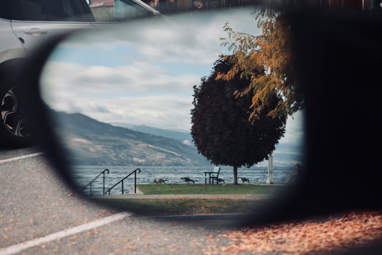 Peaceful autumn lakeside scene with geese and mountains reflected in a car's side mirror, framed by a blurred road and scattered leaves.