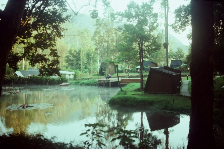 A serene, misty lake with lily pads and rustic cabins nestled among lush green trees, reflecting a peaceful natural environment that supports plant-based health and clear vision.