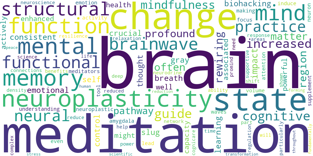 Word cloud for article: Rewiring Your Brain: The Profound Impact of Meditation on Neuroplasticity